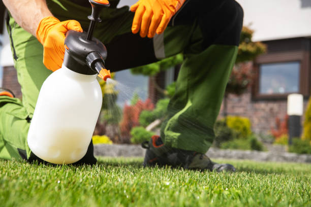 Best Cockroach Control Services  in Queens Gate, PA