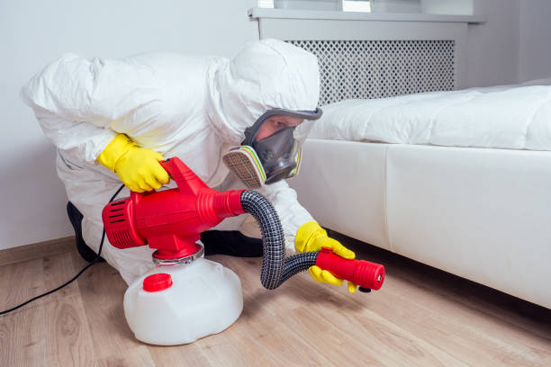 Best Termite Control Services  in Queens Gate, PA
