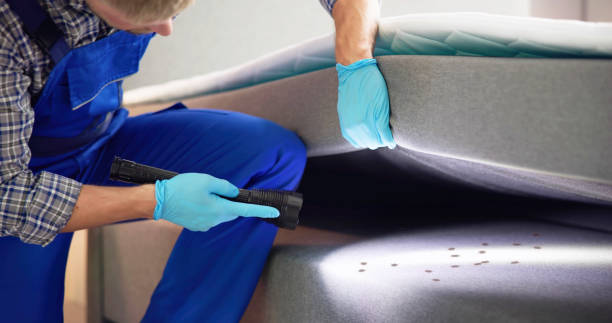 Best Termite Control Services  in Queens Gate, PA